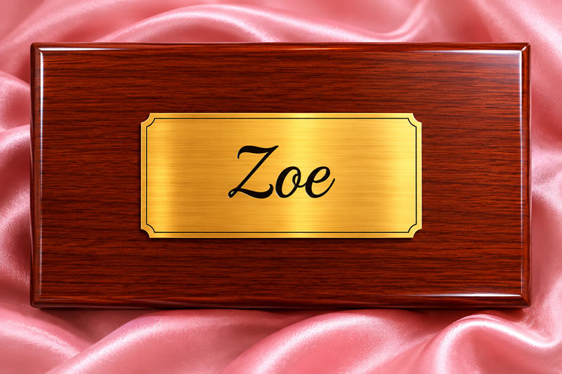 Engraved Name Plaque for Pet Ashes