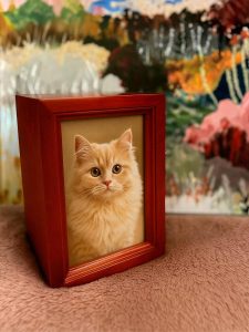 Pet Ashes Urn
