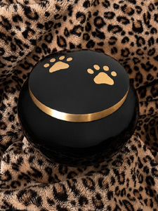 Pet Ashes Urn