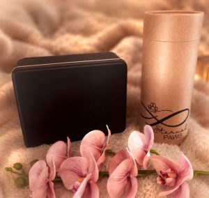 Bio Cylinder Urn or Matt Black Tin for Pet Ashes Storage